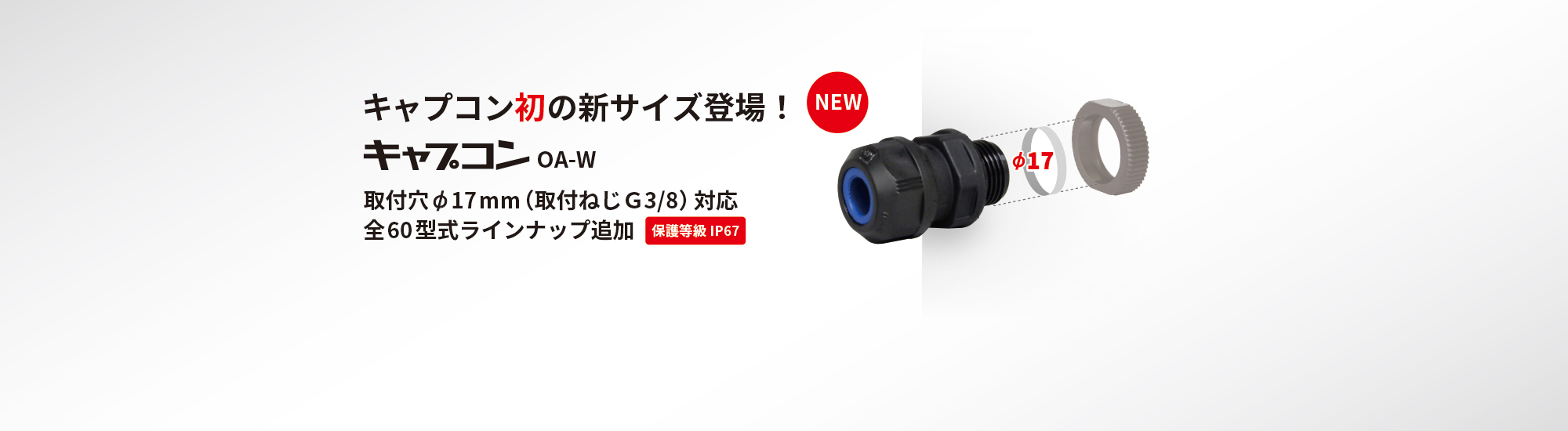 キャプコン　取付穴&Oslash; 17